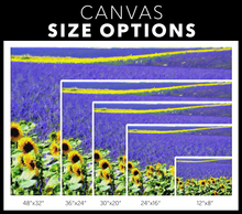 Load image into Gallery viewer, French Lavender and Sunflower Field Canvas Painting Rectangular
