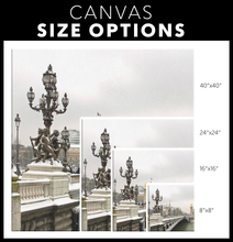 Load image into Gallery viewer, Paris Pont Alexandre III Bridge in Winter Photo to Canvas
