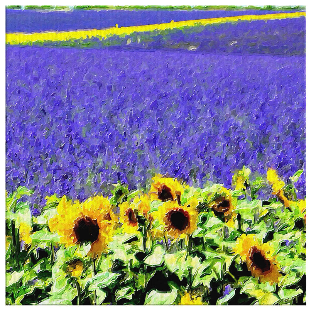 French Lavender and Sunflower Field Canvas Painting Square