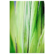 Load image into Gallery viewer, Abstract Palm Leaves Green Canvas Painting
