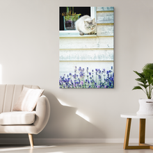 Load image into Gallery viewer, Cat and Lavender on Canvas
