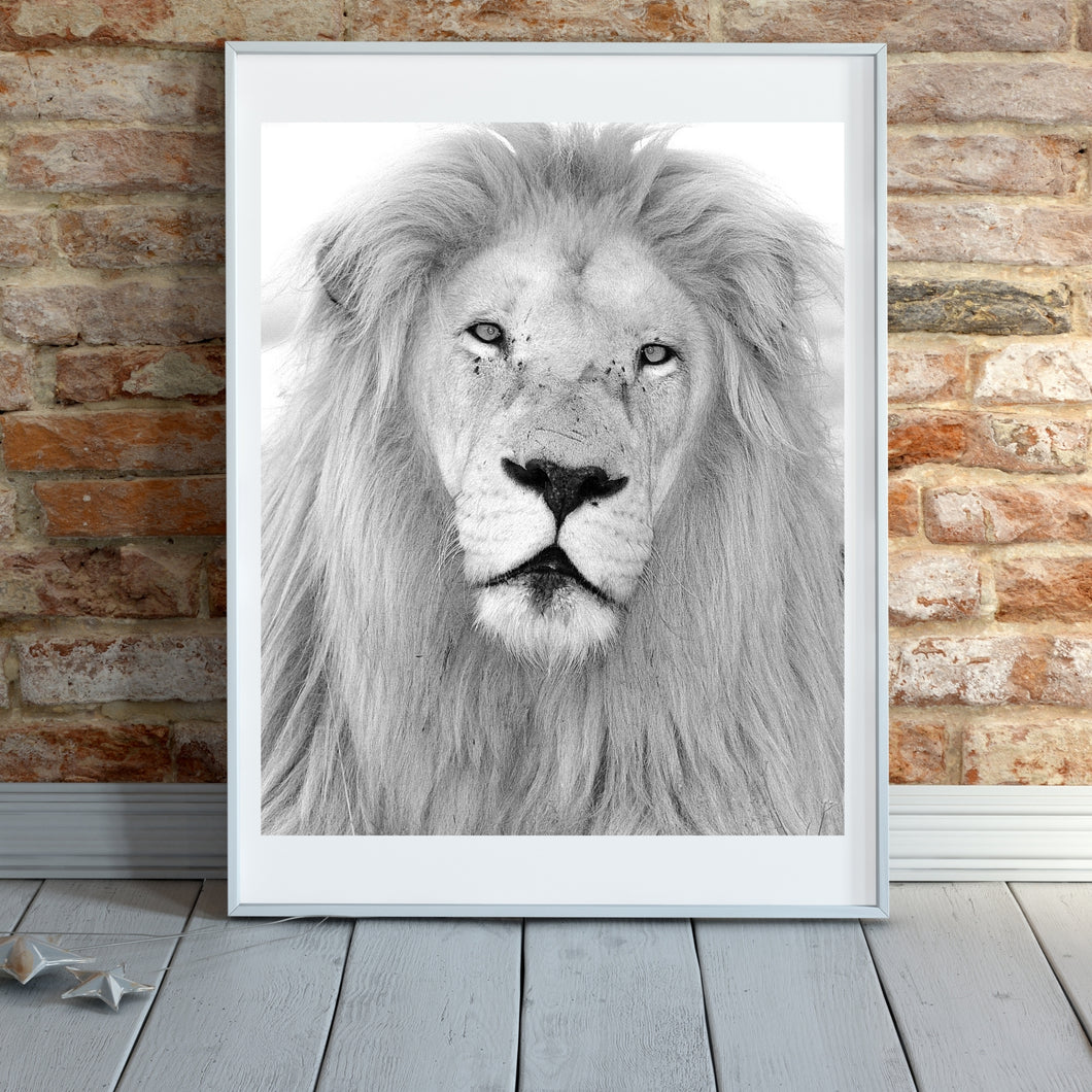 BEAUTIFUL MALE LION Printable