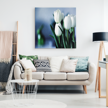 Load image into Gallery viewer, White Tulips and Blue Square Canvas Modern Painting
