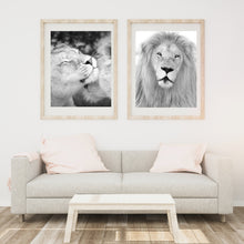 Load image into Gallery viewer, BEAUTIFUL MALE LION Printable
